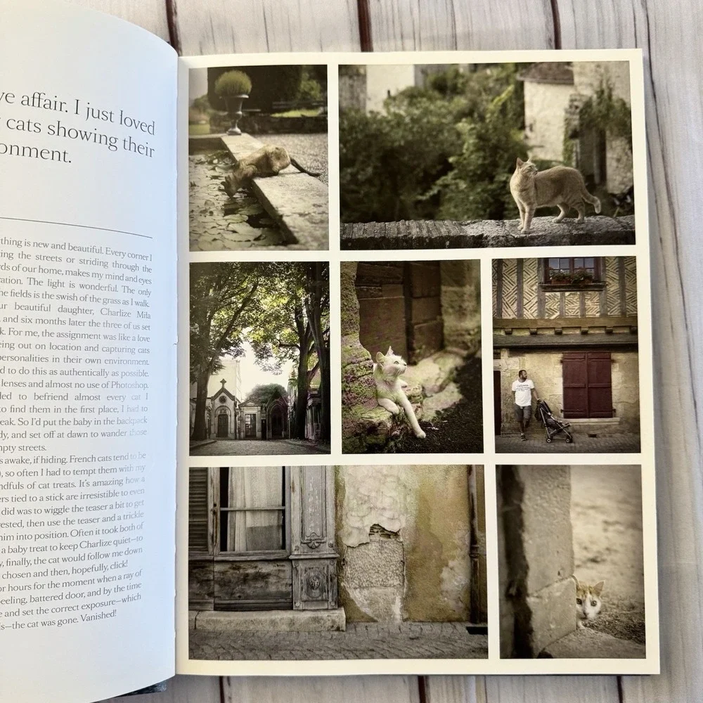 The‎ French Cat Photographs Rachael Hale McKenna Hardcover